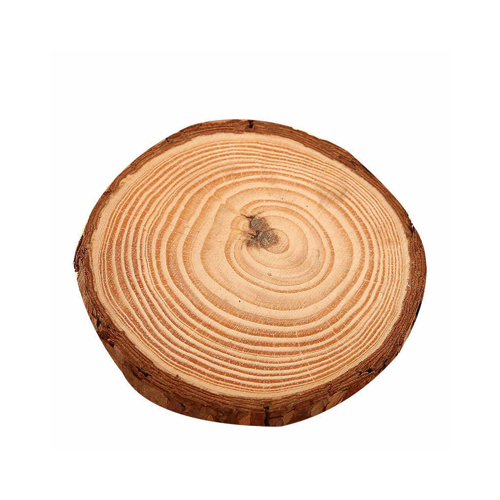 Natural Wood Circles Centerpiece GOOD EVENTS Event Rentals